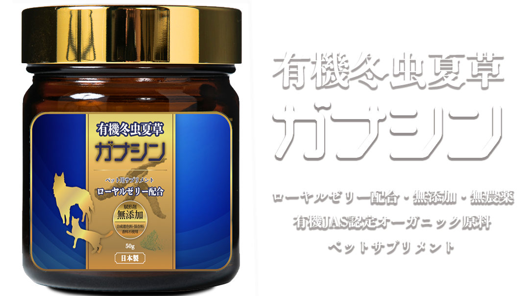 有機冬虫夏草　ガナシン