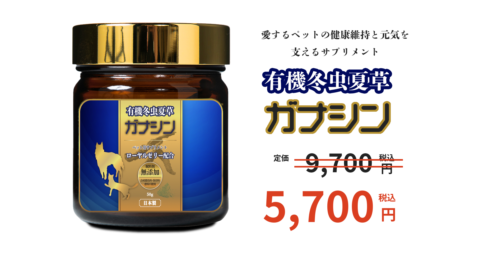 ガナシンの価格5700円